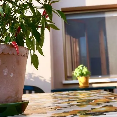 Guest house Residenza 