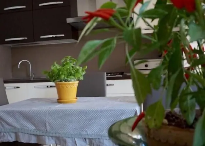 Residenza Il Cacao Affittacamere Perugia