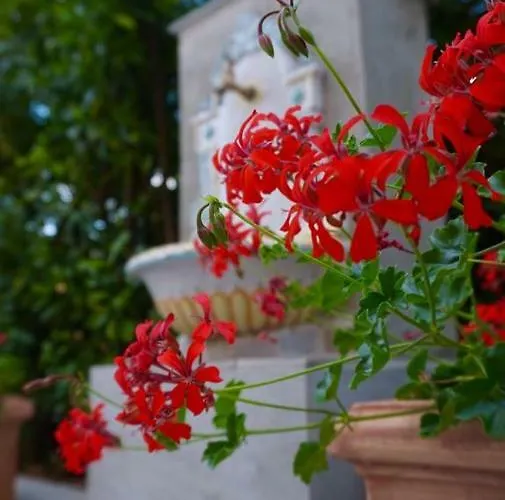 Residenza Il Cacao Affittacamere 3*